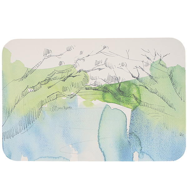 【安平綠色隧道／通】軟式珪藻土吸水地墊